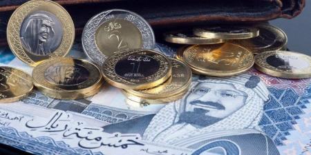 سعر الريال السعودي في مصراليوم.. الأربعاء 30-10-2024