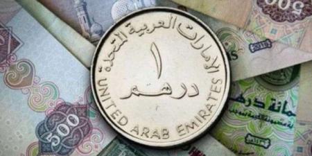 سعر الدرهم الإماراتي اليوم الخميس 31 أكتوبر 2024.. كم يسجل في البنك الأهلي أمام الجنيه المصري؟