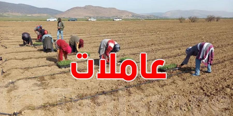 صدر بالرائد الرسمي : مرسوم رئاسي يعزز حقوق العاملات الفلاحيات بامتيازات ومنافع شاملة