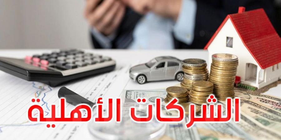 إجراءات جديدة لضمان ديمومة الشركات الأهلية