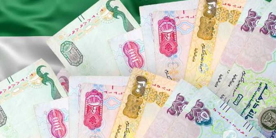 سعر الدرهم الإماراتي اليوم الثلاثاء 29-10-2024