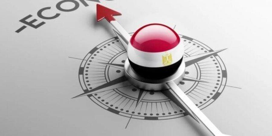 «فيتش» تتوقع 16.5 مليار دولار متوسط الاستثمار الأجنبي المباشر في مصر خلال 2024-2025