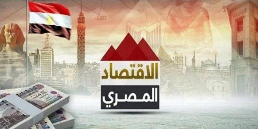 خلق فرص عمل وزيادة مستويات الدخل.. ماذا يعني رفع تصنيف مصر الائتماني؟