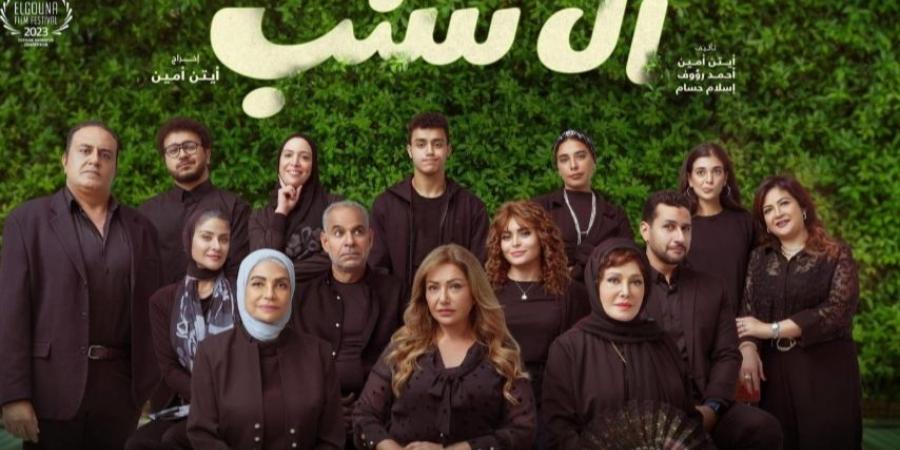 إيرادات أفلام السينما أمس| فيلم آل شنب يتصدر القائمة.. وعنب الأخير