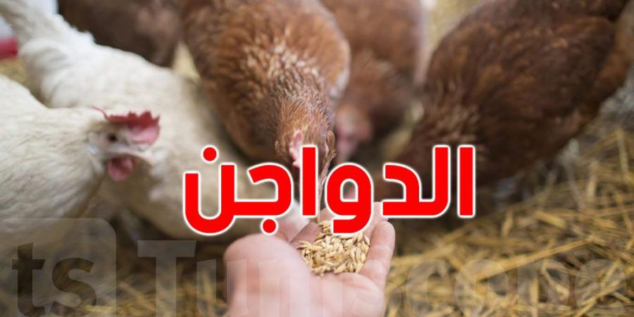 تذكير للتونسيين : وزارة التجارة تؤكد أن ''الدجاج الحي'' يباع ب 5300 مليم/ الكغ