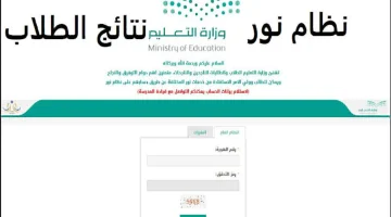 رابط نظام نور.. إعلان نتائج الطلاب في جميع المراحل التعليمية