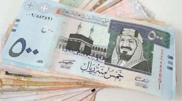 بكام يا أخضر النهاردة.. سعر الريال السعودي مقابل الجنيه المصري اليوم الإثنين 11 نوفمبر 2024