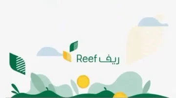 متى ينزل دعم ريف؟ وأهم الشروط المطلوبة للحصول على الدعم