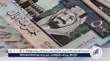 سعر الريال السعودي اليوم الأحد 29 ديسمبر 2024: استقرار بعد الانخفاض الأخير