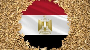 عاجل| بـ5.3 مليون طن.. مصر تتصدر قائمة واردات القمح الروسي