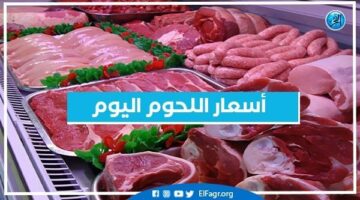 أسعار اللحوم اليوم الثلاثاء 17-12-2024 في أسواق محافظة البحيرة