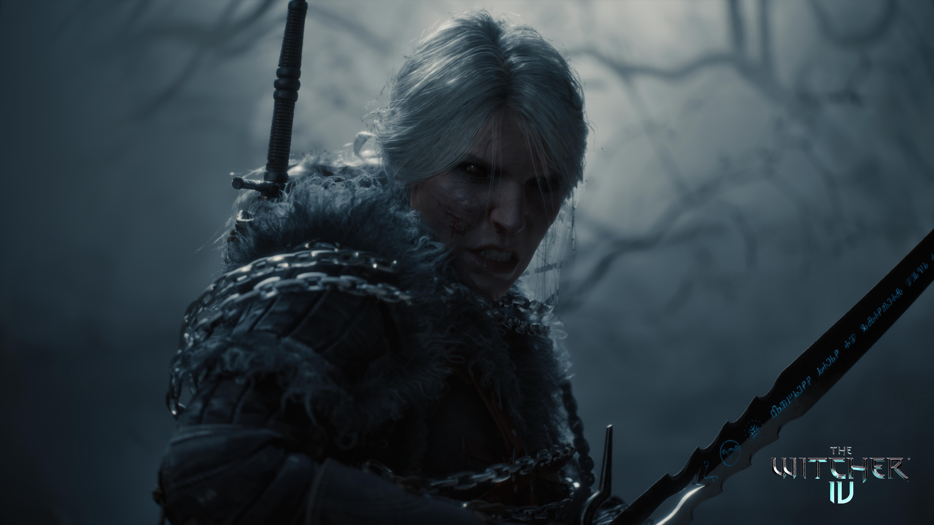 قلق كبير من مصير قصة The Witcher 4 بسبب تاريخ أحد العاملين عليها | VGA4A