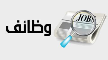 كيفية التقديم على وظائف مصلحة الضرائب 2024 و الشروط المطلوبة