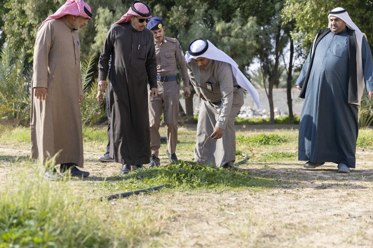 شاهد.. مباشرة ميدانية وحصر لـ”آثار موجة الصقيع على مزارع حفر الباطن”