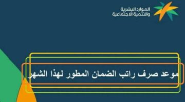 تحديد موعد صرف راتب الضمان الاجتماعي في العام الجديد وأهم الشروط المطلوبة