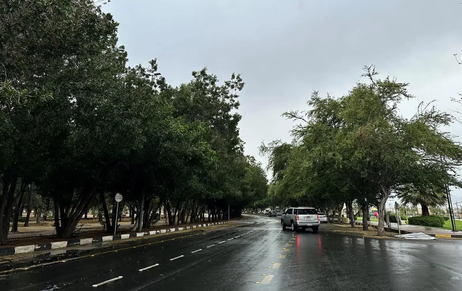 أمطار رعدية وسيول وغبار على غا…