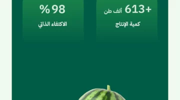 البطيخ يزيّن موائد رمضان بإنتاج يتجاوز 613 ألف طن …