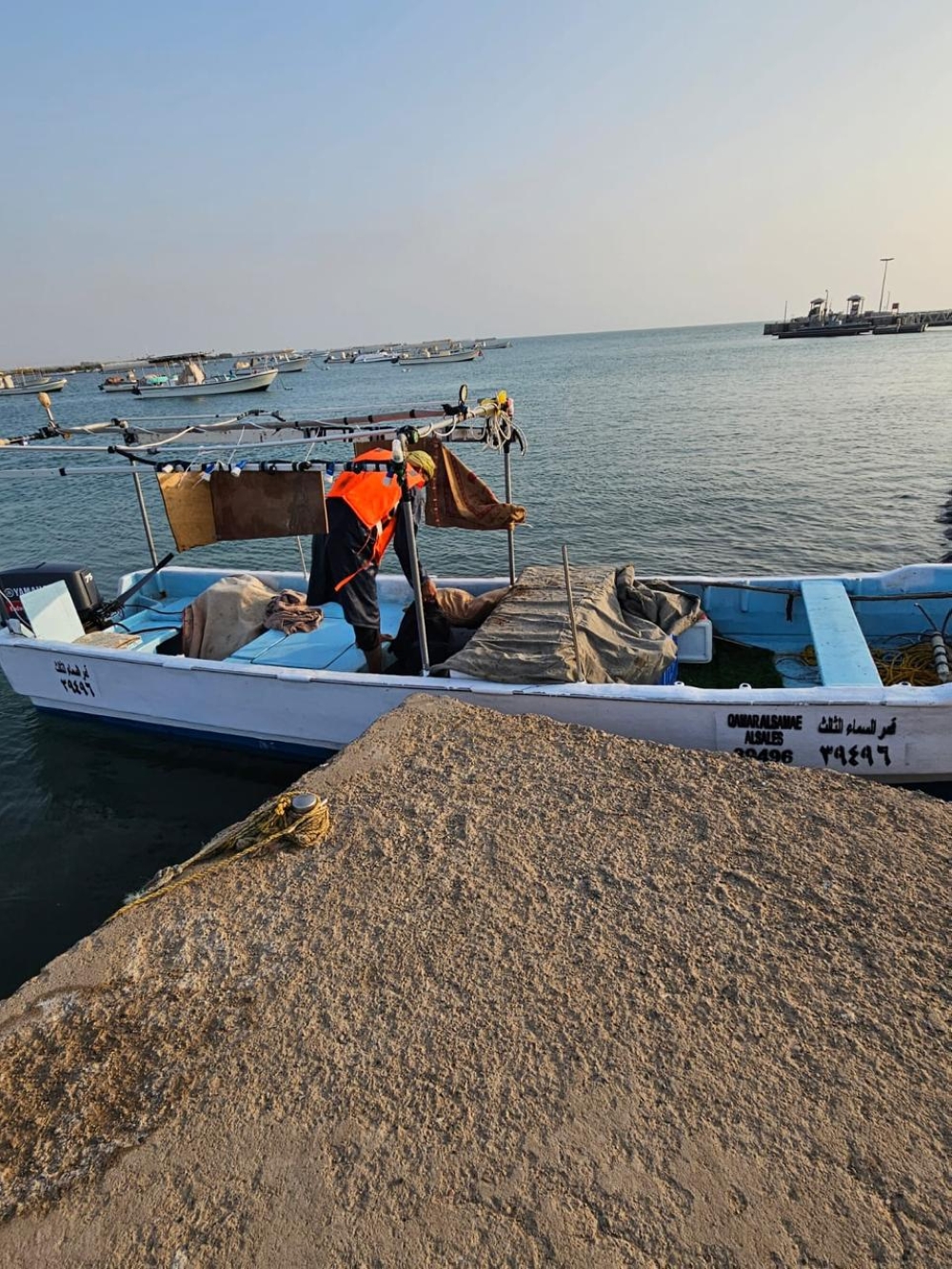 إجراءات رقابية مشددة في مرفأ الصيد لضبط مخالفات صيد ‘الناجل’.. ومشروع تشجير في مركز القضيمة لتعزيز البيئة المحلية