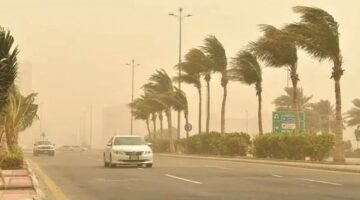 هبوب الرياح يخفف حرارة المملكة ويصحبه موجات من الغبار