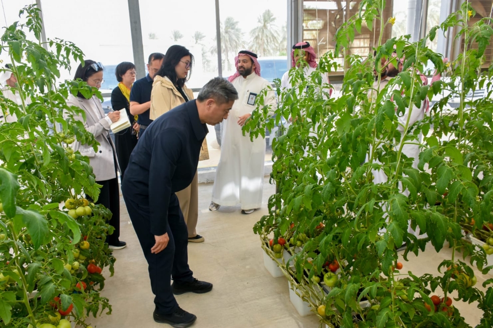 وفد صيني يزور لاستعراض تجربة الري الإدارية والتحول الرقمي في صور