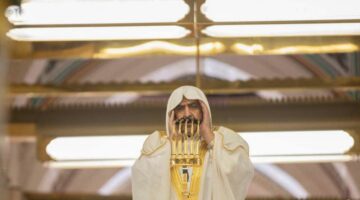 إعادة توزيع العاملين والعاملات في فروع القطاع الحكومي وفقًا للوظائف الشاغرة.