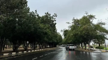 أمطار غزيرة ورياح قوية تضرب منطقة نجران حتى الساعة الثامنة مساءً.