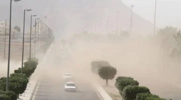 <p>بالتأكيد، إليك عدة صيغ للعنوان بأسلوب خبري وجذاب يناسب أخبار جوجل، مع استيفاء كافة الشروط المطلوبة:</p>
<p><strong>صيغة 1 (تركز على التحذير):</strong>
الأرصاد تحذر: رياح نشطة بسرعة 49 كم/ساعة تضرب منطقة تبوك حالياً.</p>
<p><strong>صيغة 2 (تركز على الحدث والمكان):</strong>
رياح تبوك تصل إلى 49 كم/ساعة.. والأرصاد تصدر تنبيهاً عاجلاً للسكان.</p>
<p><strong>صيغة 3 (أكثر إثارة وتشويق):</strong>
رياح قوية تجتاح تبوك.. الأرصاد تكشف سرعتها وتوجه نداءً مهماً للمواطنين.</p>