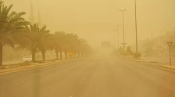 بالتأكيد، إليك عدة صياغات احترافية للعنوان تتوافق مع معايير أخبار جوجل:

*   رياح شديدة تضرب حائل.. والأرصاد تحذر بسرعة تصل إلى 49 كلم/ساعة.

*   رياح حائل تصل لـ 49 كم/ساعة.. والأرصاد تصدر تنبيهًا عاجلًا لسكان المنطقة.

*   رياح نشطة على حائل.. تحذير من الأرصاد بعد تسجيل سرعة 49 كم/ساعة.

*   رياح بسرعة 49 كم/ساعة.. الأرصاد توجه تنبيهًا مهمًا لسكان منطقة حائل.