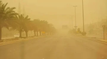 بالتأكيد، إليك عدة صياغات احترافية للعنوان تتوافق مع معايير أخبار جوجل:

*   رياح شديدة تضرب حائل.. والأرصاد تحذر بسرعة تصل إلى 49 كلم/ساعة.

*   رياح حائل تصل لـ 49 كم/ساعة.. والأرصاد تصدر تنبيهًا عاجلًا لسكان المنطقة.

*   رياح نشطة على حائل.. تحذير من الأرصاد بعد تسجيل سرعة 49 كم/ساعة.

*   رياح بسرعة 49 كم/ساعة.. الأرصاد توجه تنبيهًا مهمًا لسكان منطقة حائل.