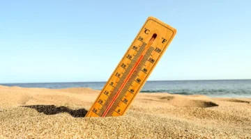 <p>بالتأكيد، إليك عدة صياغات احترافية للعنوان تتوافق مع معايير أخبار جوجل وتجذب القارئ:</p>
<p><strong>الخيار الأول (الأكثر تداولاً):</strong></p>
<ul>
<li>موجة حارة ورياح نشطة تضرب المنطقة الشرقية.. والأرصاد توجه تحذيراً هاماً.</li>
</ul>
<p><strong>الخيار الثاني (أكثر إثارة):</strong></p>
<ul>
<li>موجة حارة عنيفة.. الأرصاد تكشف تفاصيل الطقس الساخن في المنطقة الشرقية.</li>
</ul>
<p><strong>الخيار الثالث (مباشر ورسمي):</strong></p>
<ul>
<li>موجة حارة تبدأ اليوم.. تنبيه من رياح مثيرة للأتربة بالمنطقة الشرقية.</li>
</ul>
<p><strong>الخيار الرابع (يخلق فضولاً):</strong></p>
<ul>
<li>موجة حارة ورياح قوية.. كيف سيكون طقس المنطقة الشرقية الساعات القادمة؟</li>
</ul>