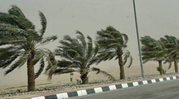<p>بالتأكيد، إليك عدة صياغات احترافية للعنوان تتوافق مع معايير أخبار جوجل:</p>
<p><strong>الخيار 1 (الأكثر إثارة وجذباً):</strong></p>
<p>طقس اليوم: تحذير عاجل من رياح مثيرة للأتربة تضرب الرياض والمدينة والشرقية.</p>
<p><strong>الخيار 2 (أسلوب خبري مباشر):</strong></p>
<p>طقس اليوم: الأرصاد تُنبّه من موجة غبار ورياح نشطة على 3 مناطق.</p>
<p><strong>الخيار 3 (تركيز على التأثير):</strong></p>
<p>طقس السعودية: رياح نشطة تثير الأتربة والغبار على مناطق واسعة بالمملكة.</p>